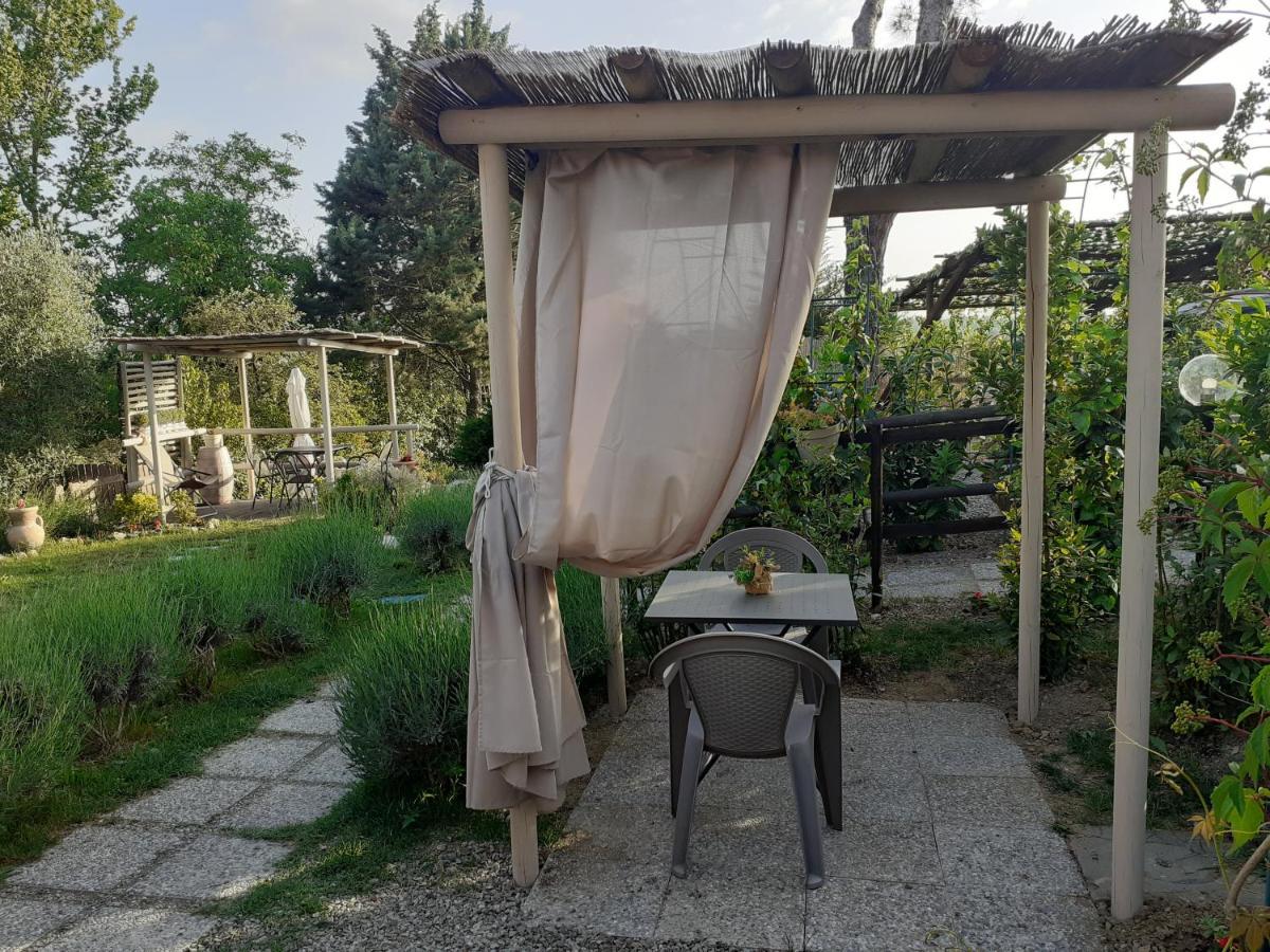 Il Lavandeto - Farmhouse In The City Σιένα Εξωτερικό φωτογραφία